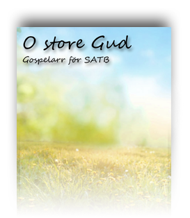 11 O store Gud